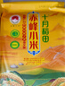 十月稻田 敖漢小米2.5kg 金苗K1 內蒙古赤峰 粥米新米 優(yōu)級黃小米 雜糧5斤 曬單實(shí)拍圖