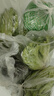 綠食者 沙拉蔬菜組合3.5斤 新鮮苦菊綠葉紅葉生菜西餐沙拉健康輕食蔬菜 蔬菜沙拉組合3.5斤【無(wú)沙拉醬】 曬單實(shí)拍圖