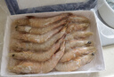 哆鮮生 活凍海捕大明蝦 野外生長(cháng)南海自主捕撈對蝦海白蝦黃蝦蝦類(lèi)生鮮 加大號 10-12條/盒 400g(凈重) 曬單實(shí)拍圖