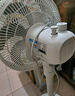 美的（Midea） 電風(fēng)扇 家用風(fēng)扇7葉落地扇立式輕音節能大風(fēng)量電扇臺扇迷你扇臺立兩用轉頁(yè)扇空氣循環(huán)扇安靜低音 店長(cháng)推薦丨7葉勁風(fēng) 百萬(wàn)單品 家用落地扇 曬單實(shí)拍圖