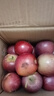 吉果叔 正宗大涼山丑蘋(píng)果 應當季時(shí)令新鮮水果四川冰糖心蘋(píng)果紅富士生鮮 凈重5斤 【迷你果】單果60-65mm 曬單實(shí)拍圖