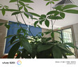 HLA海瀾之家短袖T恤男25山不在高印花圓領涼感短袖男夏 曬單實拍圖