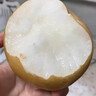 融鮮山東萊陽(yáng)秋月梨新鮮水果禮盒冰糖雪梨子當季應季水果中秋節送禮物 5斤精選果丨單果9兩+ 凈重4.5斤 曬單實(shí)拍圖