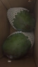 京覓四川攀枝花凱特芒 芒果凈重4.5-5斤單果400g起 新鮮水果源頭直發(fā) 曬單實(shí)拍圖