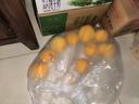 三萌果蔬正宗蒙陰黃桃 山東當季新鮮黃毛桃現摘桃子水果送禮 甄選5斤裝【顆顆甄選】?jì)糁?.5斤 曬單實(shí)拍圖