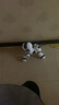 AOCTIK德國品牌機器狗智能兒童寶寶玩具電動(dòng)寵物遙控小狗唱歌節日禮物 升級款機器狗-黑色 曬單實(shí)拍圖