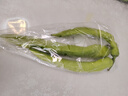 尖椒約300g 曬單實(shí)拍圖