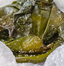 榮成鹽漬海帶頭5斤裝海帶根絲片結厚新鮮昆布涼拌食材半干貨批發(fā) 鹽漬海帶頭1斤 曬單實(shí)拍圖