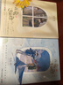 可愛(ài)過(guò)敏原套裝完結篇 稚楚晉江文學(xué)城人氣作家 青春文學(xué)長(cháng)篇愛(ài)情小說(shuō) 博集天卷 可愛(ài)過(guò)敏原套裝全兩冊 曬單實(shí)拍圖