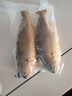 三都港 冷凍寧德大黃魚(yú)700g/2條裝 黃花魚(yú) 生鮮魚(yú)類(lèi) 深海魚(yú) 中秋 曬單實(shí)拍圖