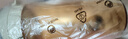 特百惠（Tupperware）茶韻500ML塑料杯男女士學(xué)生夏季運動(dòng)水杯子戶(hù)外便攜大容量 奶茶棕 曬單實(shí)拍圖