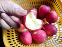 25年頭茬東北特產(chǎn)雞心果脆甜錦繡海棠果當季新鮮水果小蘋(píng)果 5斤帶箱優(yōu)選凈重4.5斤 精品裝單果20g+ 曬單實(shí)拍圖