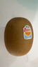 佳沛（zespri）新西蘭  陽(yáng)光金奇異果10粒禮盒巨大果單果約144-175g 水果 獼猴桃 曬單實(shí)拍圖