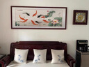 出寫(xiě)國畫(huà)荷花九魚(yú)圖水墨畫(huà)中式裝飾畫(huà)客廳背景墻壁畫(huà)書(shū)房餐廳橫幅掛畫(huà) 沙比利實(shí)木框(直角棕色) 裝裱125*65 曬單實(shí)拍圖