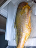 三都港 冷凍三去大黃魚(yú)凈重2斤/2條裝 寧德黃花魚(yú) 生鮮魚(yú)類(lèi) 中秋 曬單實(shí)拍圖