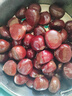 探味先生丹東板栗 新鮮栗子 生板栗 產(chǎn)地直發(fā) 新鮮蔬菜 時(shí)令生鮮 凈重 5.8斤 大果 曬單實(shí)拍圖