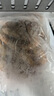 1號會(huì )員店精選鹽田有機白蝦 海鮮食材 無(wú)抗養殖 有機鹽田白蝦 1kg/袋 曬單實(shí)拍圖