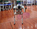宇樹(shù)（Unitree）Go2 AI大模型機器狗Go2 電子狗智能仿生陪伴機器人四足機器狗 Go-2 Air 曬單實(shí)拍圖