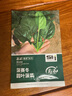 壽禾意大利生菜種子苗青菜秋季蔬菜種籽 濰育意大利全年生菜王種子10g 曬單實拍圖