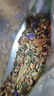 布卡星山鹿鱈魚全價六拼凍干倉鼠糧食金絲熊侏儒全階營養(yǎng)主糧550g 曬單實拍圖