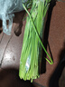 新鮮長(cháng)蒜苔30cm長(cháng)度粗細適中色澤飽滿(mǎn)高品質(zhì)生鮮蒜苔 蒜臺2斤 曬單實(shí)拍圖