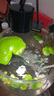 瘋狂水草浮萍魚(yú)缸造景水草植物直接入缸水培植物圓心萍一葉蓮源頭直發(fā)包郵 曬單實(shí)拍圖