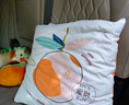 潔麗雅抱枕被辦公室午睡枕車(chē)載毯子二合一汽車(chē)靠枕睡覺(jué)車(chē)用顧錢(qián)大橘橙色 曬單實(shí)拍圖