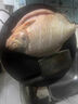鯧魚(yú)花生肉香味餌料鳊魚(yú)鯉魚(yú)花生米打窩釣魚(yú)餌野釣昌魚(yú)垂釣顆粒餌 1瓶 紅鯧魚(yú)赤眼餌料 曬單實(shí)拍圖