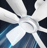 美的（Midea） 小吊扇小型電風(fēng)扇蚊帳扇家用學(xué)生宿舍風(fēng)扇床上風(fēng)扇輕音電風(fēng)扇吊式小電扇 風(fēng)扇踏青放價(jià) 機械旗艦款+【遙控延長(cháng)線(xiàn)】可遙控 曬單實(shí)拍圖