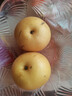 京鮮生山東煙臺萊陽(yáng)秋月梨凈重8斤 單果300g+ 生鮮水果 源頭直發(fā)包郵 曬單實(shí)拍圖