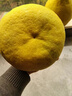 鑫果滋江永香柚 湖南永州江永柚子老樹(shù)沙田柚新鮮水果白心肉甜柚 老樹(shù)果 9斤（中果5個(gè)）單果1.5斤起 普箱 曬單實(shí)拍圖