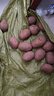 內蒙紅皮大土豆新鮮黃心土豆現挖洋芋地蛋馬鈴薯粉面火鍋批發(fā) 紅皮土豆大果 5斤 【單果150g+】 曬單實(shí)拍圖