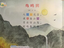 畫寶剛道口燒雞河南老字號特產(chǎn)美食熟食鹵雞850克*2袋中秋節(jié)日禮盒禮品 曬單實(shí)拍圖
