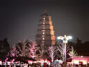 京鮮生 青青大地萊陽(yáng)羊脂秋月梨 凈重4.5斤 6-8粒 生鮮水果 禮盒裝 曬單實(shí)拍圖