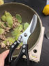 狂鯊德國進(jìn)口高檔廚房專(zhuān)用剪刀強力剪雞鴨鵝骨頭殺魚(yú)剪子不銹鋼食品級 德國強力雞骨剪(黑)-自動(dòng)回彈,輕松剪骨 曬單實(shí)拍圖