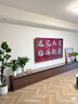 TCL電視 50T6L 50英寸 QD-Mini LED 萬(wàn)象分區 QLED量子點(diǎn) 絢彩XDR 1000nits 超薄 曬單實(shí)拍圖