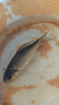 太宇魚(yú)竿雲鯉28調手竿超輕超硬野釣碳素釣竿臺釣竿7.2米釣魚(yú)竿 曬單實(shí)拍圖
