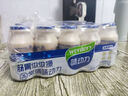味動(dòng)力乳酸菌飲料早餐奶酸奶小瓶牛奶0脂肪0色素益生菌飲料100ml*20 曬單實(shí)拍圖