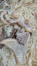 澇河橋 供港  寧夏灘羊 國產(chǎn)原味羊雜500g/袋   原切無(wú)添加 火鍋爆炒  曬單實(shí)拍圖