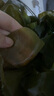鮮海帶 鹽漬海帶結 海帶扣片火鍋食材涼拌海洋蔬菜 鹽漬海帶結500g 曬單實(shí)拍圖