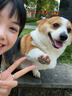 中國黃金銀手鐲足銀999純銀鐲子女款和田玉手鏈玉串首飾生日禮物送女朋友 玉見桃花【中金禮盒】足銀和田玉 曬單實(shí)拍圖