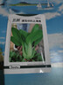 北蔬 小青菜種子苗上海青梗菜油菜種籽 速生605上海青種子50g約2萬(wàn)粒 曬單實(shí)拍圖