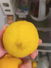 優(yōu)味集進(jìn)口新奇士檸檬【JD順豐現貨速發(fā)】新鮮南非黃檸檬生鮮水果整箱 1斤凈重 商超級大果（單果120g+） 曬單實(shí)拍圖
