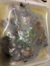 GUO LIAN國聯(lián)小霸龍青花椒烤魚(yú)2斤2-3人份燒烤加熱即食夜宵方便菜預制菜 曬單實(shí)拍圖