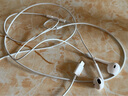 Apple/蘋果 采用 (USB-C)的EarPods耳機(jī) 有線耳機(jī) 蘋果耳機(jī) 適用iPhone/iPad//Mac 蘋果手機(jī) 曬單實(shí)拍圖