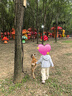 巴拉巴拉寶寶外套兒童上衣男童女童2025秋裝寬松可愛(ài)連帽開(kāi)衫208325105211 曬單實(shí)拍圖