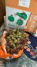 京地達云南克倫生無(wú)籽紅提 凈重2斤 紅提葡萄馬奶提子葡萄源頭直發(fā)包郵 曬單實(shí)拍圖
