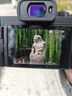 松下（Panasonic）Lumix G100D M43畫(huà)幅相機 M43卡口 微單相機 無(wú)反數碼相機 G100D+【12-60mm白盒】單鏡套裝 曬單實(shí)拍圖