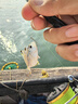 大洋船長(cháng)大洋即食海鮮零食魚(yú)片魷魚(yú)小魚(yú)干海味1080g青島特產(chǎn)中秋國慶禮盒 曬單實(shí)拍圖
