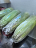 京鮮生&佳農(nóng)寶菜山東水果玉米單根275g+鮮甜多汁4-7根凈重4.6斤源頭直發(fā) 曬單實拍圖
